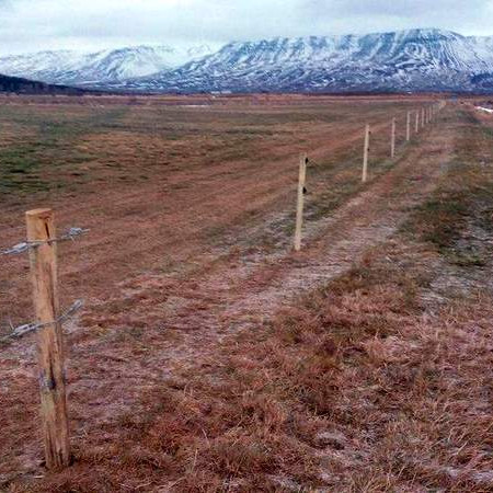 Vel tókst til í vetrargirðingavinnunni í síðustu viku.