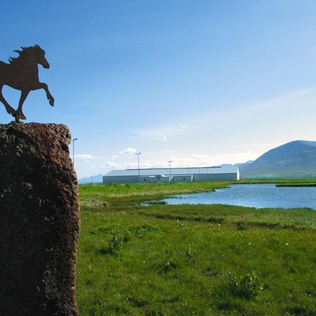 Barna- og unglingamót UMSS verður haldið í Reiðhöllinni Svaðastöðum á morgun.