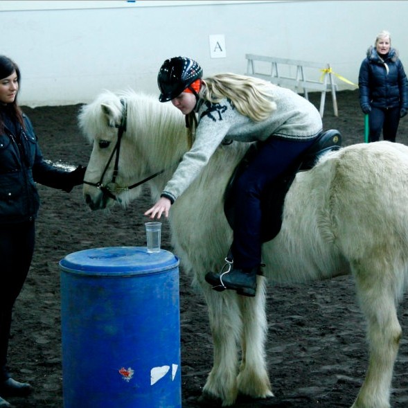 Reiðnámskeiði fyrir grunnskólanemendur lokið