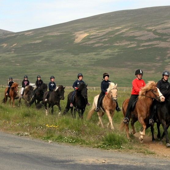 Fjör á hestbaki