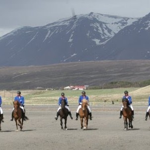 Skilasýning á hrossum