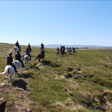 Neisti leggur nýja reiðvegi