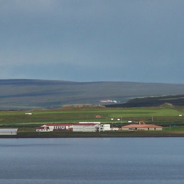 Græn stemmning við vigtarskúrinn