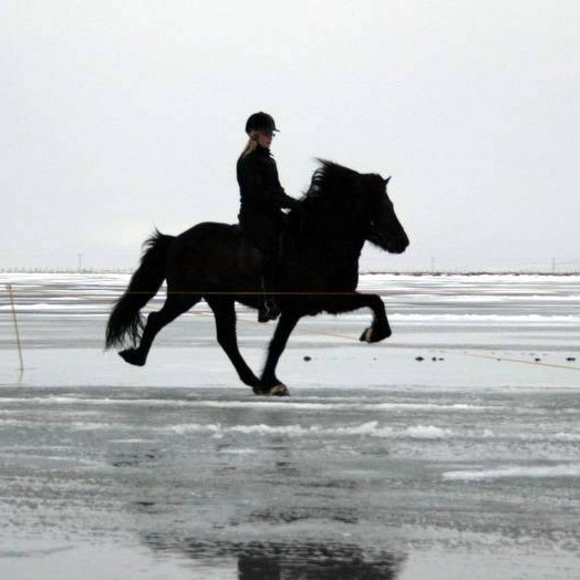 Ísmót Riddara Norðursins