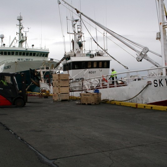 Röstin landaði 23,5 tonn af rækju í gær