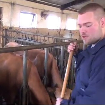 Samtök ungra bænda gefa út myndbönd