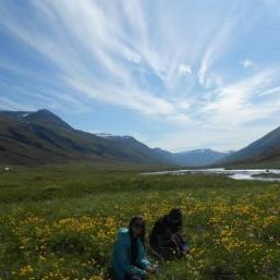 SEEDS samtökin leita að verkefnum