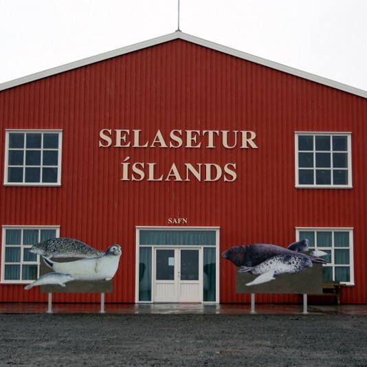 Árleg selatalning fór fram á sunnudaginn