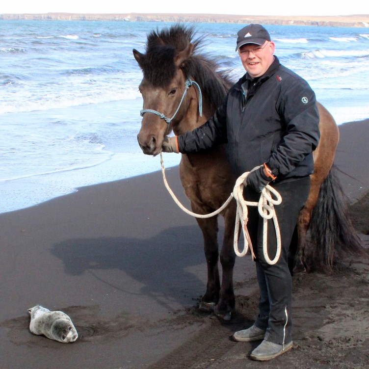 Lítill selkópur í fjörunni – Myndband