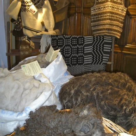 11 daga fræðslu- og menningarferð til Shetlandseyja í haust