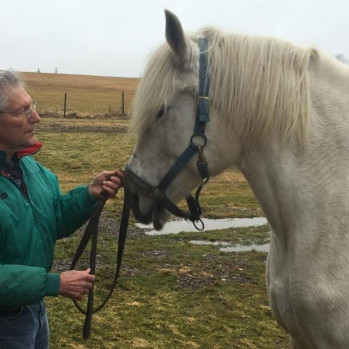 Sigurður tamningamaður með folann Sigmund.