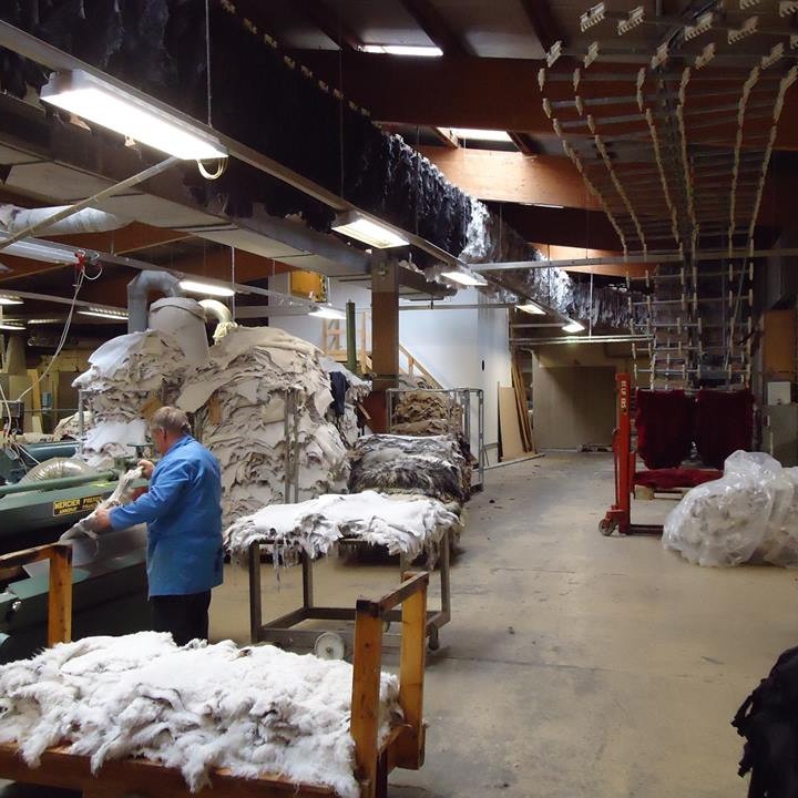 Frá sútunarverksmiðju Sjávarleðurs á Sauðárkróki. Mynd/Sjávarleður.