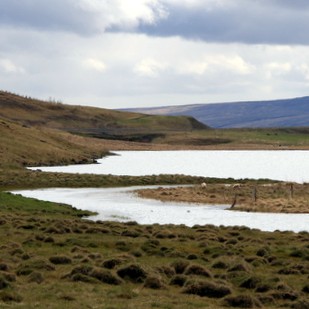 A listinn með fjóra menn í Húnavatnshreppi