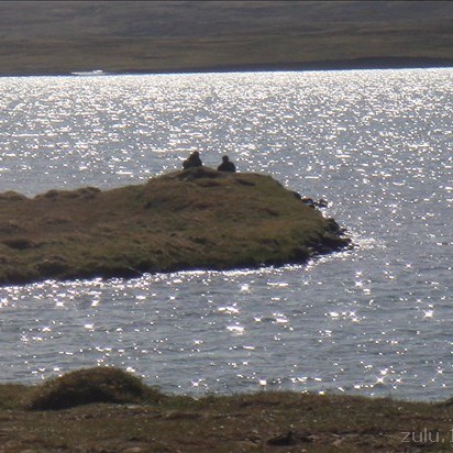 Landssamtök landeigenda á Íslandi funda í Húnavatnssýslum