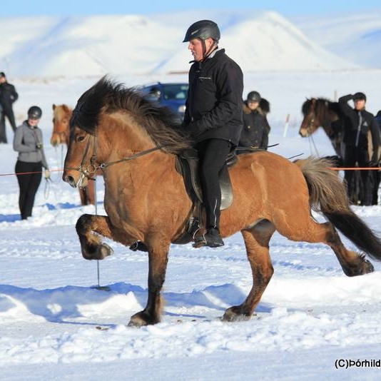 Skapti Steinbjörnsson og Oddi frá Hafsteinsstöðum unnu B flokkinn. Mynd/Þórhildur B. Jakobsdóttir.