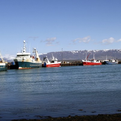 636 þorskígildistonn á Norðurland vestra