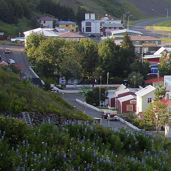 Kvikmyndakvöld í Gúttó