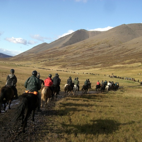 Ævintýralegar réttir helgarinnar
