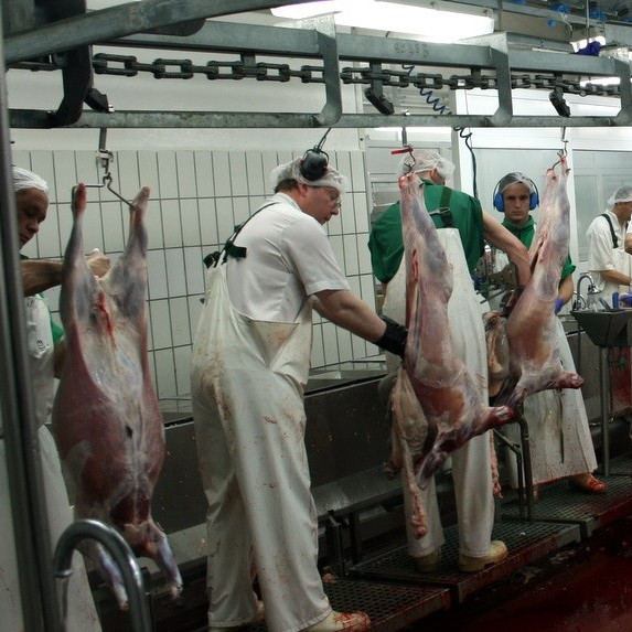 Mynd úr myndasafni.