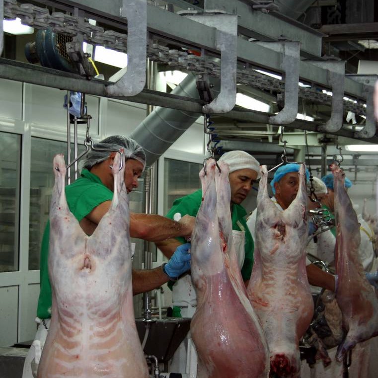 Sláturkostnaður og heimtaka