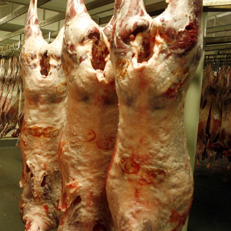 Sláturtíð Kjötafurðarstöð KS lokið