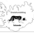 Landskeppni og dómaranámskeið um næstu helgi