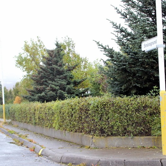 Viðurkenningar fyrir snyrtimennsku og einstakt framtak