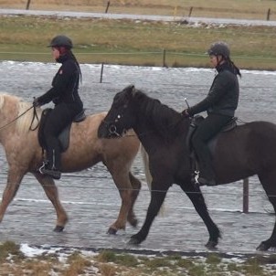 Skilasýning Hólanema