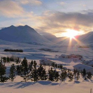 Gul og glaðleg á Ársölum í dag