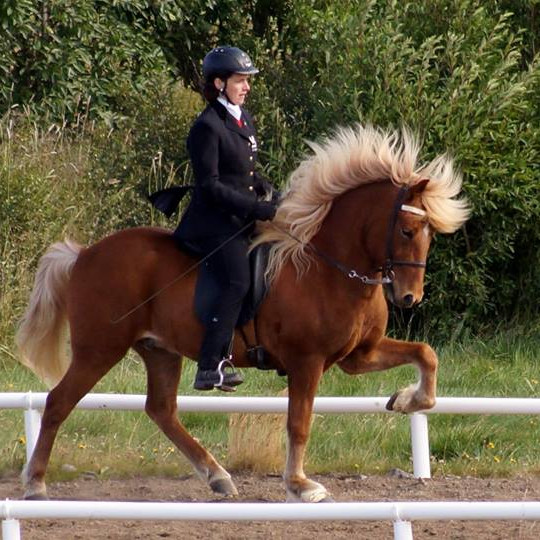 Sonja L. Þórisdóttur og Kvaran frá Lækjamóti. Mynd: thytur.net.