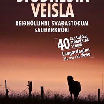 Stóðhestaveisla á Króknum á laugardagskvöld