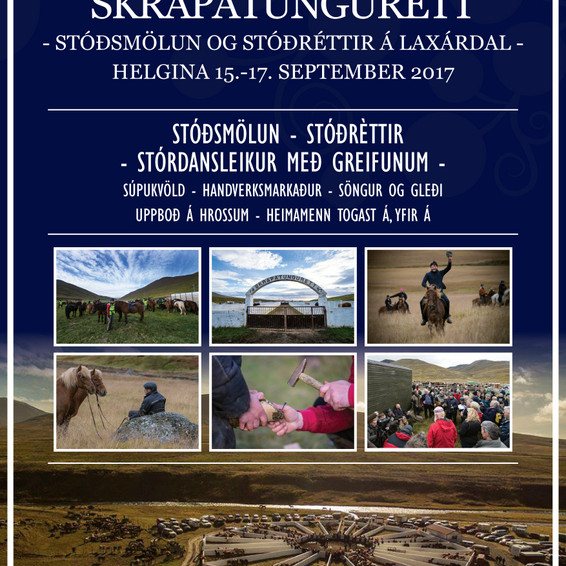 Stóðsmölun á Laxárdal og stóðréttir í Skrapatungurétt