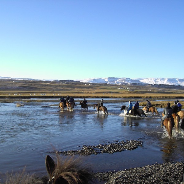 Fundur um stóðhestahald í V-Hún