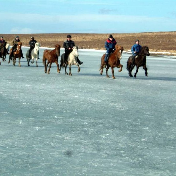 Ráslistar Ísmótsins á Svínavatni
