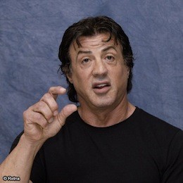 Hollywoodhorn vikunnar