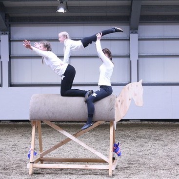 Dagskrá reiðhallarsýningarinnar „Hestar fyrir alla“