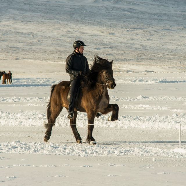 Teitur og Kúnst á Svínavatni 2015. Mynd: Ægir Sigurgeirsson