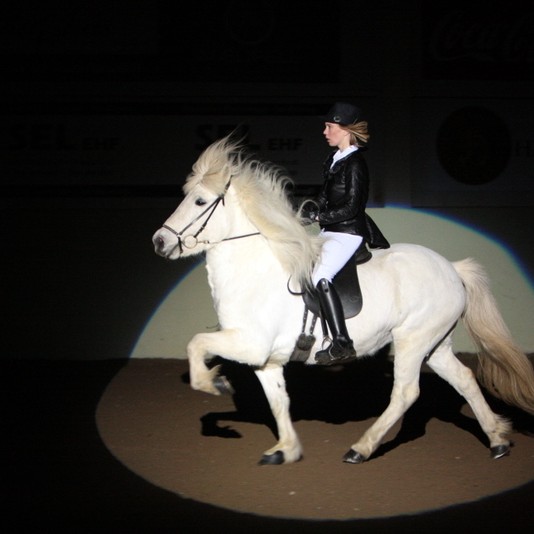 Hestadagar í Skagafirði um helgina