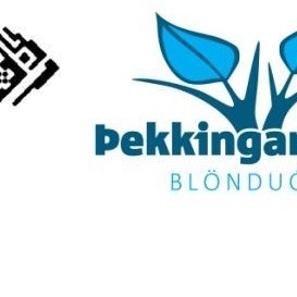 Kirsuberjablóm og sverð - ímynd Japans og raunveruleikin