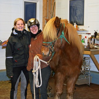 Helgihald í Þingeyrarklausturprestakalli um jól og áramót 2013