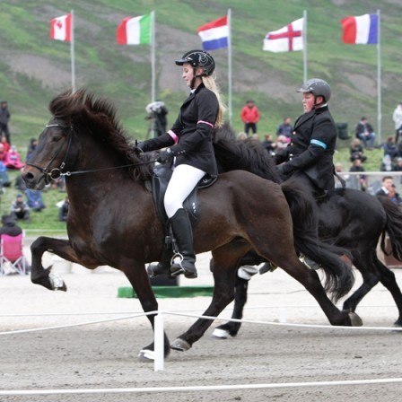 Þóra Birna Ingvarsdóttir og Þórir frá Hólum /Mynd tekin frá hestafrettir.is