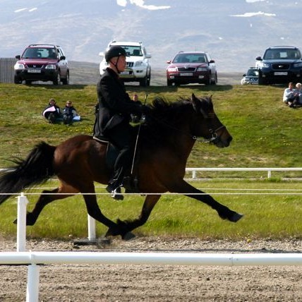 Landsmót hófst í gær