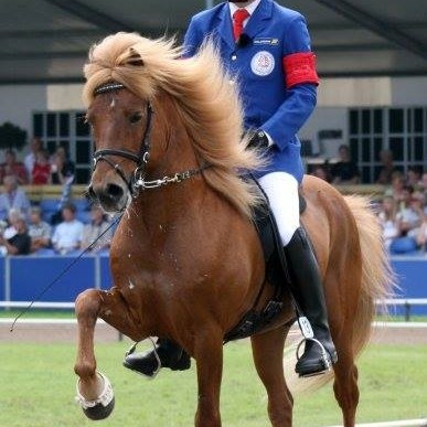 Lið Hrímnis skipað reynsluboltum