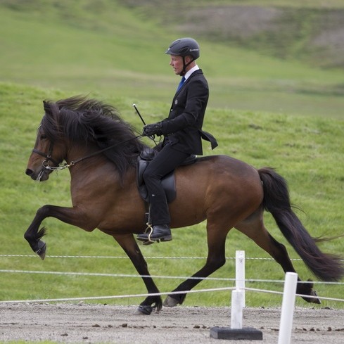 Þota frá Prestsbæ og Þórarinn Eymundsson. Mynd: Eiðfaxi.