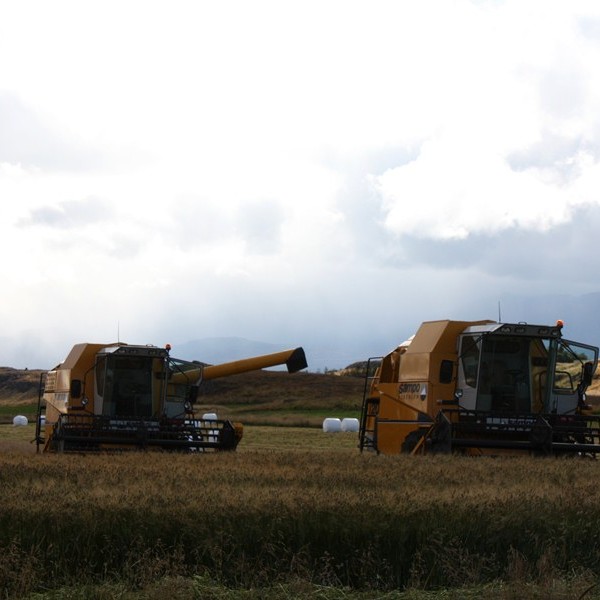 Uppskera víðast hvar mjög góð