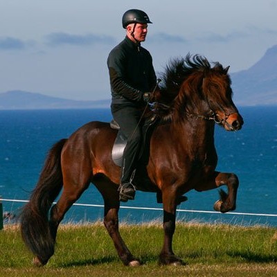 Úrslit úr félagsmóti Léttfeta