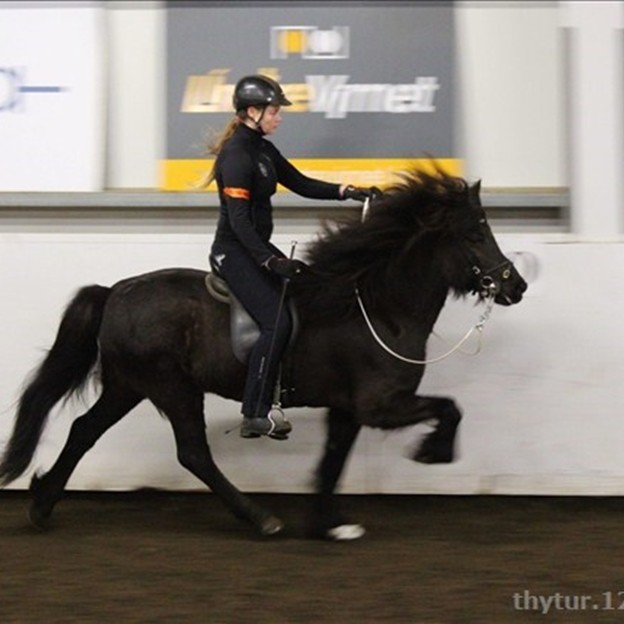 Þriðja keppniskvöld vetrarins í Húnvetnsku liðakeppninni var á föstudagskvöldið. Mynd: thytur.123.is/