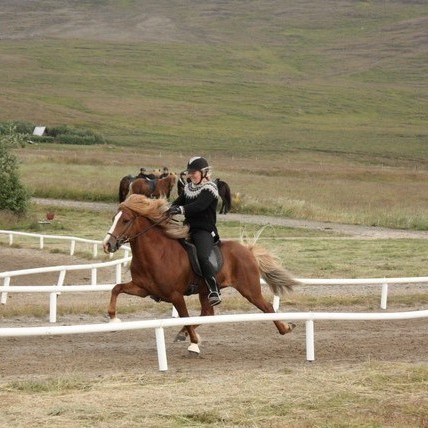 Veðrið lék við knapa á Opna íþróttamóti Þyts - úrslit