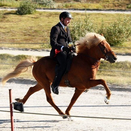 Uppskeruhátíð Þyts og Hrossaræktarsamtaka Vestur Húnavatnssýslu