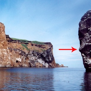 Kerlingin er nefnilega karl